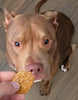 Poochie Butter Peanut Butter & Blueberry Soft Chewies Dog Treats (8 oz)