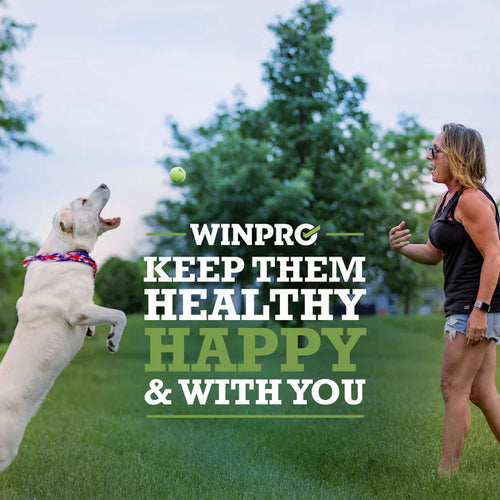 Winpro Hip & Joint For Strong Healthy Joints For Dogs