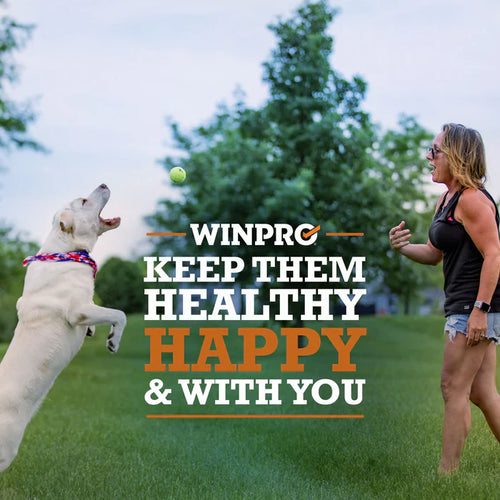 Winpro Gut Health For Digestive Health & Immunity For Dogs