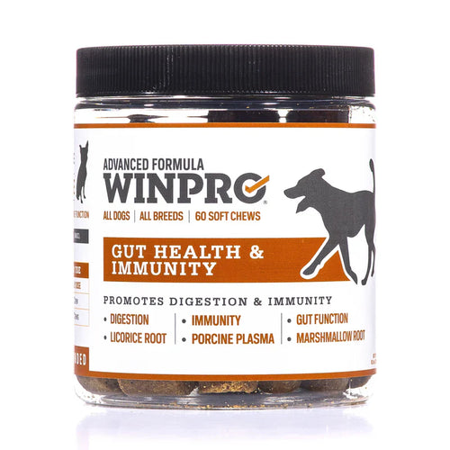 Winpro Gut Health For Digestive Health & Immunity For Dogs