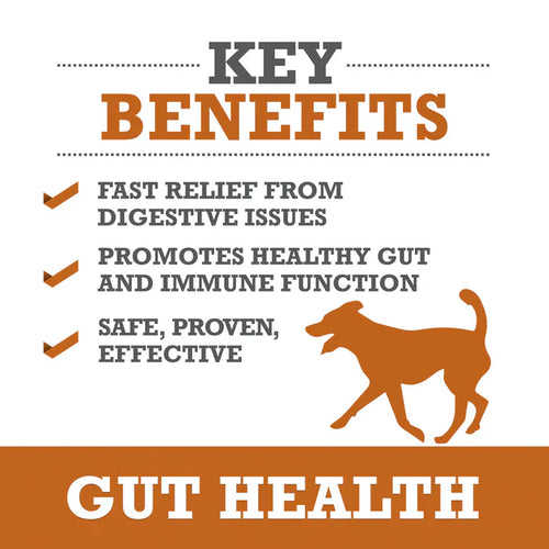 Winpro Gut Health For Digestive Health & Immunity For Dogs