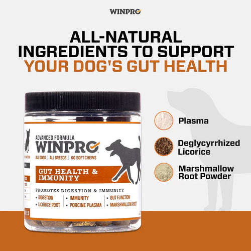 Winpro Gut Health For Digestive Health & Immunity For Dogs