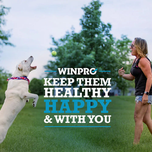 Winpro Allergy Relief From Itchy, Irritated Skin For Dogs