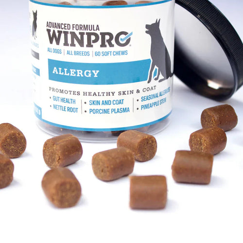 Winpro Allergy Relief From Itchy, Irritated Skin For Dogs