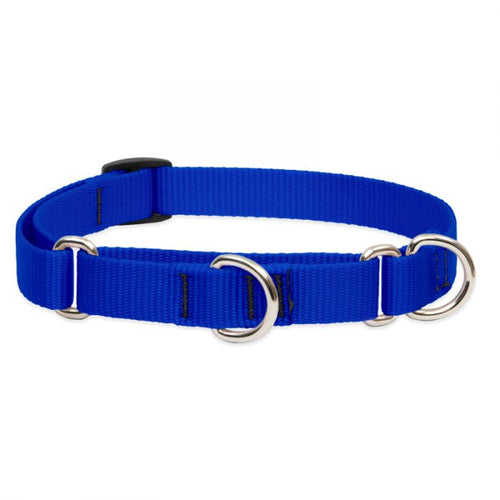 Lupine Pet Basic Solids Martingale Collars for Training