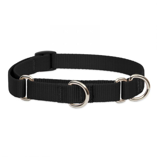 Lupine Pet Basic Solids Martingale Collars for Training