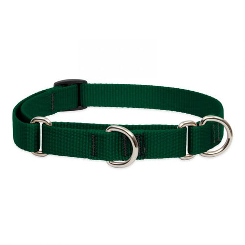 Lupine Pet Basic Solids Martingale Collars for Training