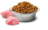 Farmina N&D Pumpkin Formula Medium & Maxi Lamb & Blueberry Adult Dog Food