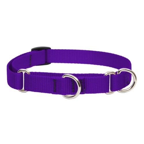 Lupine Pet Basic Solids Martingale Collars for Training