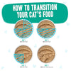 Weruva B.F.F. PLAY PATÉ! Turkey & Tuna Tweet Me! Cat Food