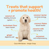 Coco Therapy Coco-Milk Bones Ginger Snaps Biscuit - Organic Coconut Treat for Dogs