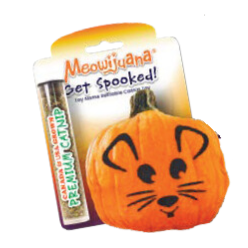 Meowijuana Get Spooked Refillable Pumpkin Cat Toy