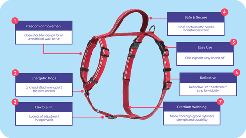 Company of Animals Halti Walking Harness