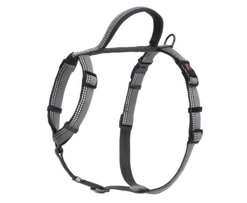 Company of Animals Halti Walking Harness