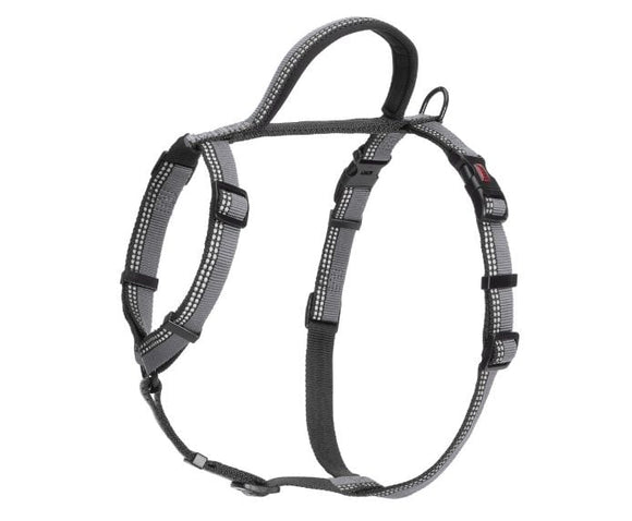 Company of Animals Halti Walking Harness