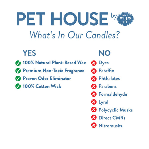 Pet House Pumpkin Spice Mini Candle