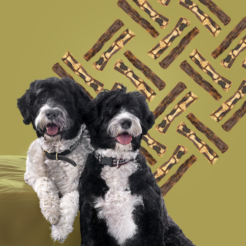 Roam Flavor Rich™ Roam® Roo In Two™ Dog Treats