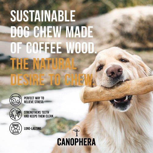 Canophera Coffee Wood Dog Chew Sticks