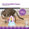 Outward Hound Catstages 2in1 Track Topper Chirping Bird Toy