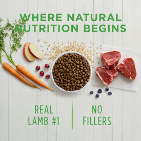 Nature's Variety Instinct Be Natural Lamb & Oatmeal Recipe Dry Dog Food