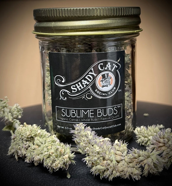 Shady Cat SUBLIME BUDS-Premium Quality