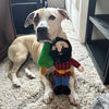 Tall Tails Paul Bunyan Rope Body Dog Toy