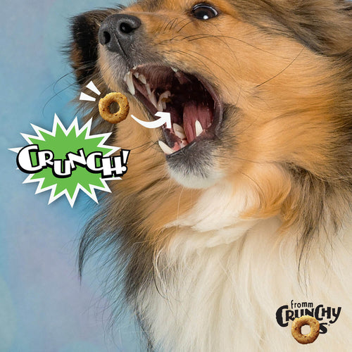 Fromm Crunchy O's Pumpkin Kran POW® Flavor Dog Treats