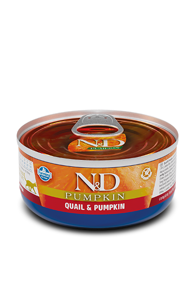 Farmina N&D Pumpkin Cat Quail & Pumpkin Recipe Wet Cat Food