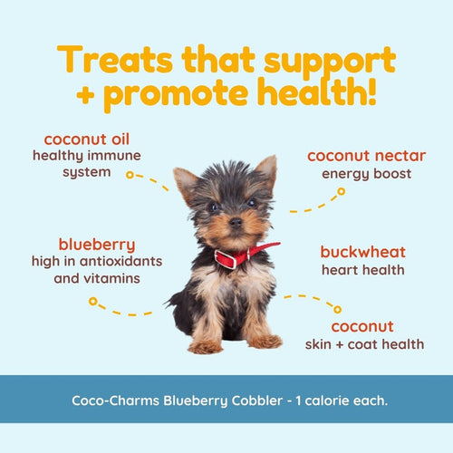 Coco Therapy Coco-Charms Training Treats Blueberry Cobbler - Organic Training Treat for dogs (5 oz)