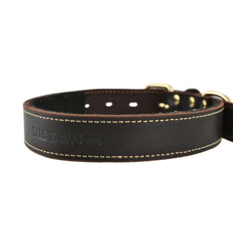 Tall Tails Genuine Leather Dog Collar